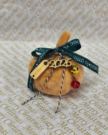 22 β  κολοκυθα πρασινη κορδελα (1)